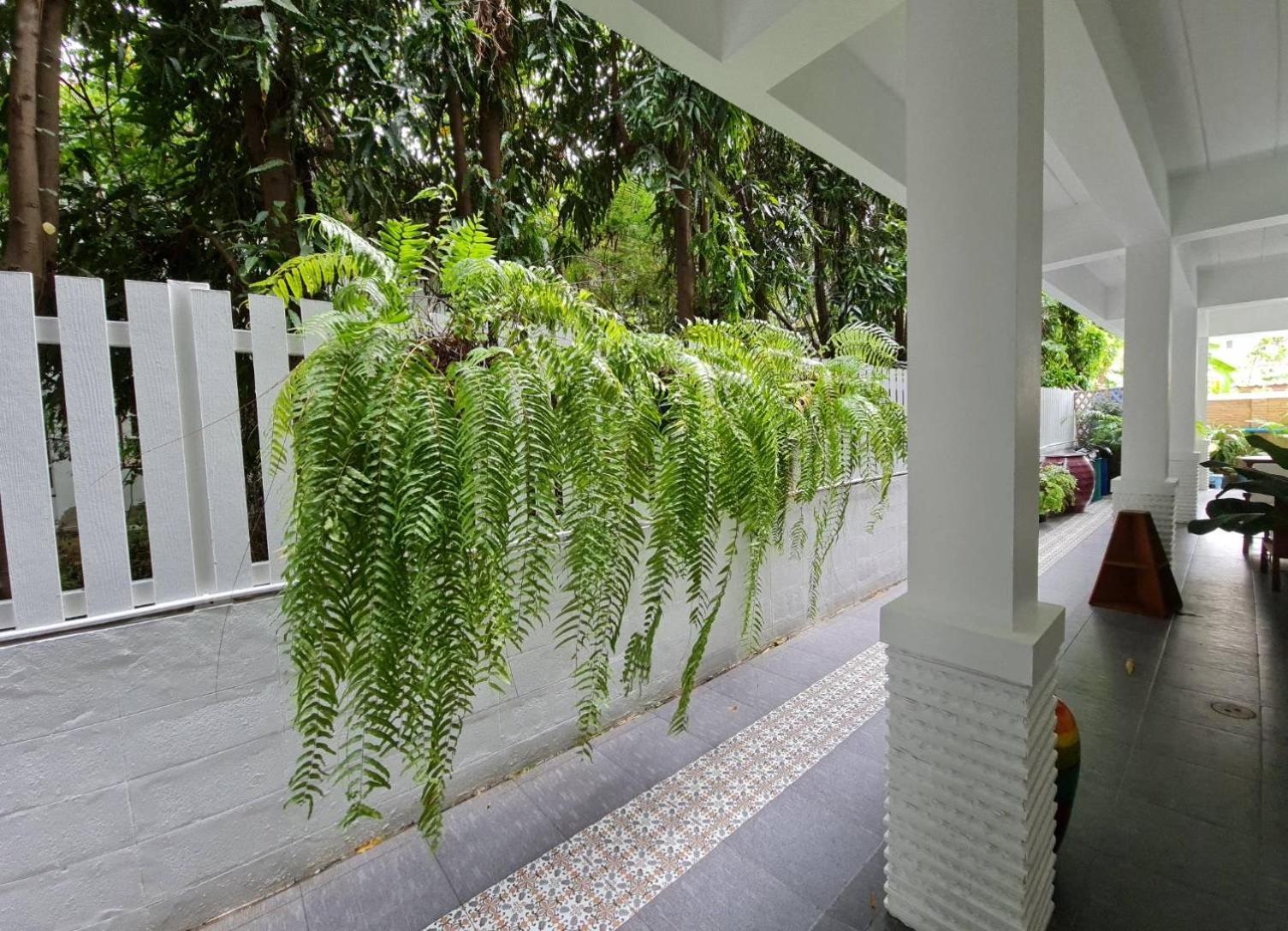 Hotel 88 Backpackers HHQ Exterior foto